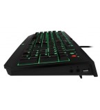 Razer BlackWido..